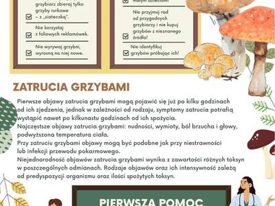 Zdjęcie ulotki dot. zatrucia grzybami