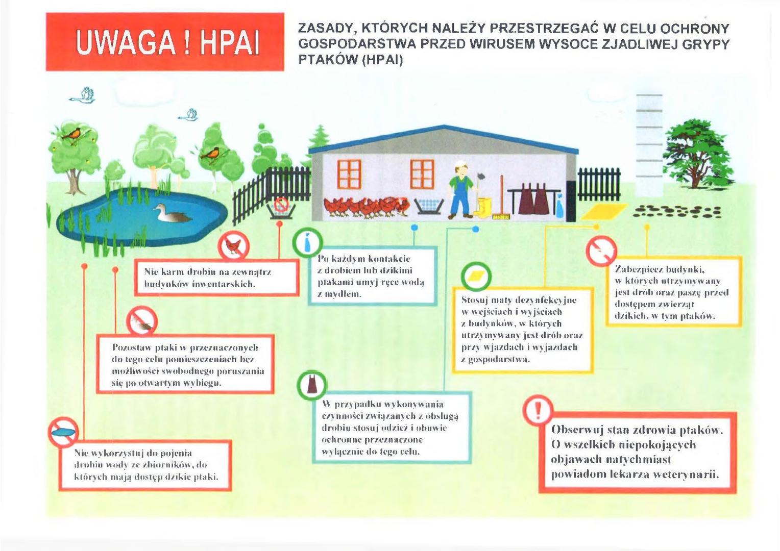 Grafika przedstawiająca ZASADY, KTÓRYCH NALEŻY PRZESTRZEGAĆ W CELU OCHRONY 
GOSPODARSTWA PRZED WIRUSEM WYSOCE ZJADLIWEJ GRYPY 
PTAKÓW (HPAI)