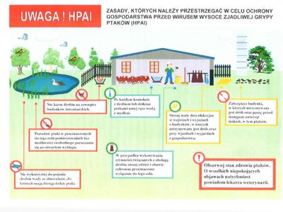 Grafika przedstawiająca ZASADY, KTÓRYCH NALEŻY PRZESTRZEGAĆ W CELU OCHRONY 
GOSPODARSTWA PRZED WIRUSEM WYSOCE ZJADLIWEJ GRYPY 
PTAKÓW (HPAI)