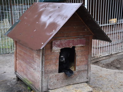 Zbiórka karmy dla przytuliska zorganizowana przez MRG Gościeradów