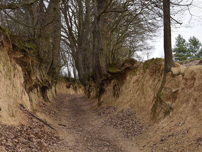 Zdjęcie z wyjazdu radnych i sołtysów z gminy Gościeradów do Kazimierza Dolnego