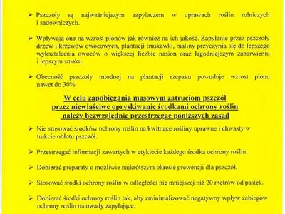 Zdjęcie komunikatu z pszczołą