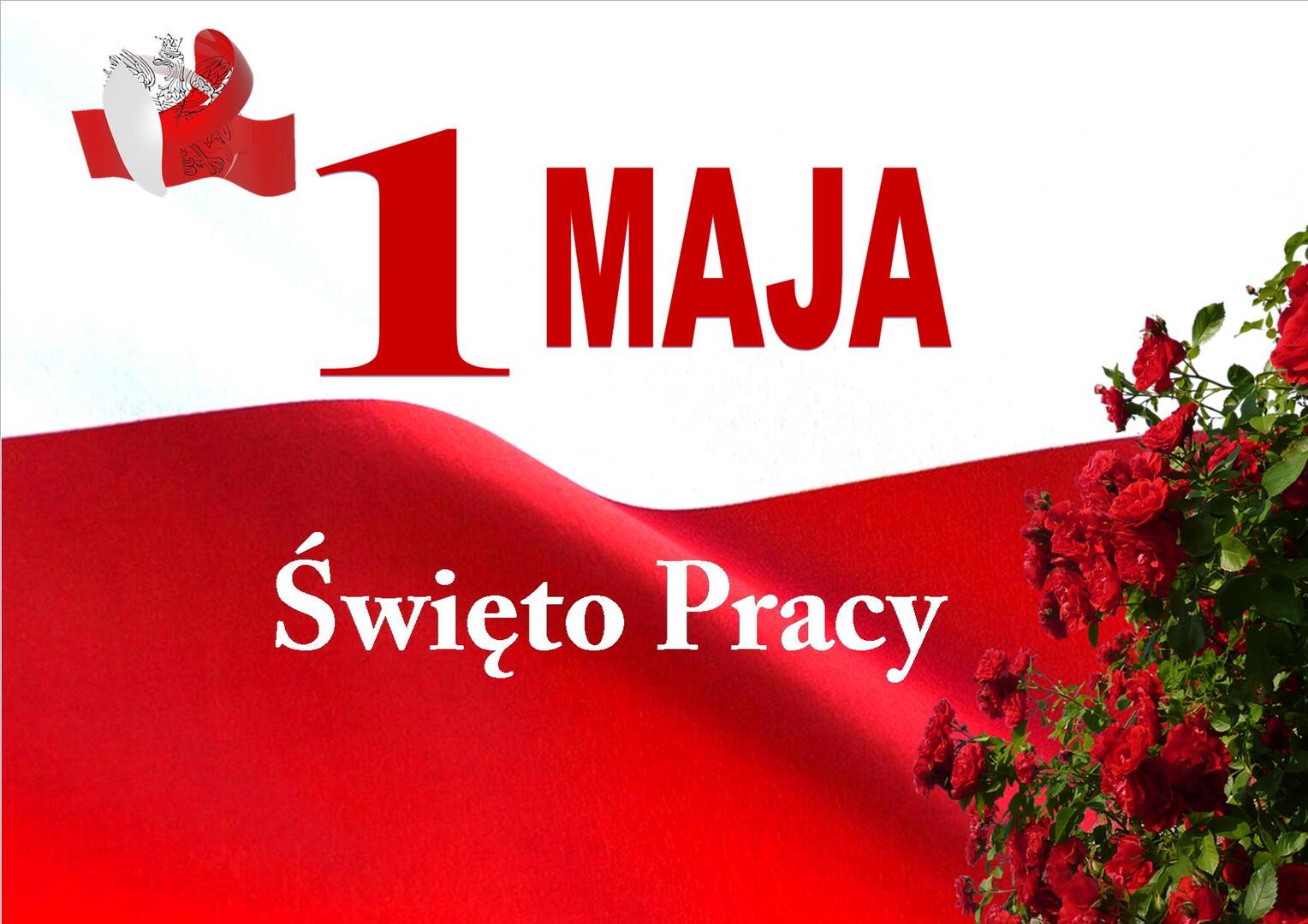 Zdjęcie z flagą Polski