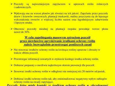 Zdjęcie komunikatu z pszczołą