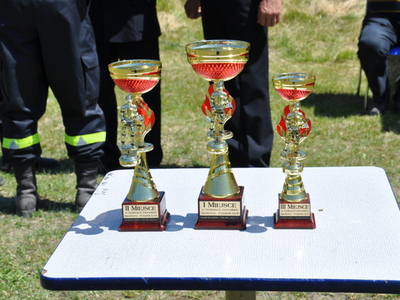 Zdjęcie z Gminnych zawodów sportowo - pożarniczych w Gościeradowie