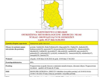 Obraz przedstawiający treść ostrzeżenia