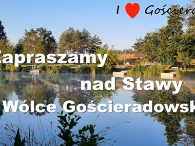Zdjęcie stawu w Wólce Gościeradowskiej