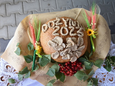 Zdjęcia z Dożynek Gminnych 2023 w Gościeradowie
