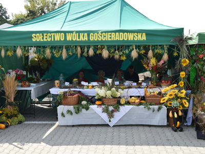 Zdjęcia z Dożynek Gminnych 2023 w Gościeradowie
