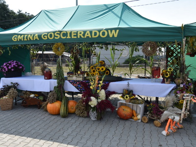 Zdjęcia z Dożynek Gminnych 2023 w Gościeradowie
