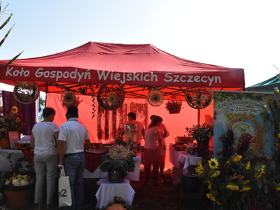 Zdjęcie z EDD  przy Źródliskach w Łanach