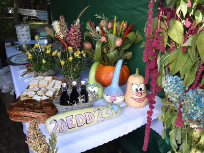 Zdjęcie z EDD  przy Źródliskach w Łanach