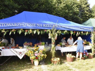 Zdjęcie z EDD  przy Źródliskach w Łanach