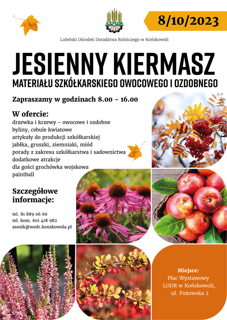 Zdjęcie plakatu dot. jesiennego kiermaszu