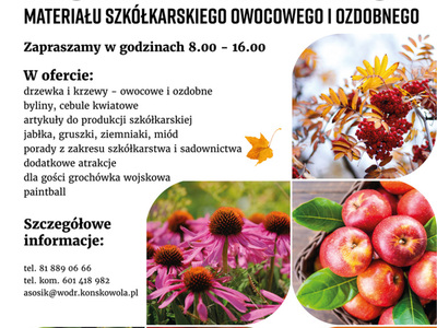 Zdjęcie plakatu dot. jesiennego kiermaszu