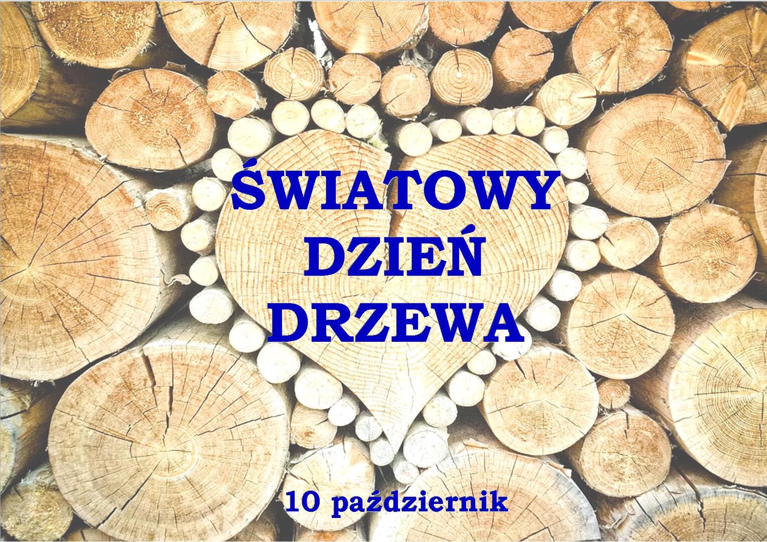 Zdjęcie drzew