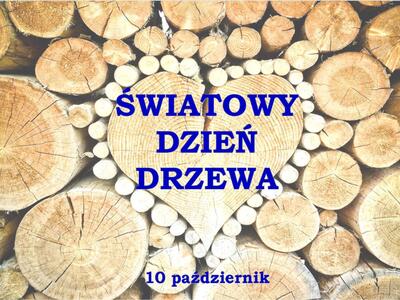 Zdjęcie drzew