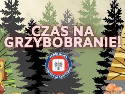 Zdjęcie dot. grzybów