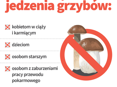 Zdjęcie dot. grzybów