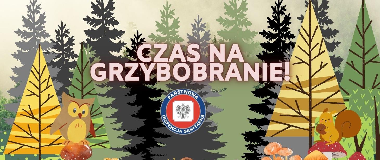 Zdjęcie dot. grzybów