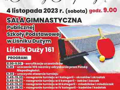 Zdjęcie plakatu z flagą Polski