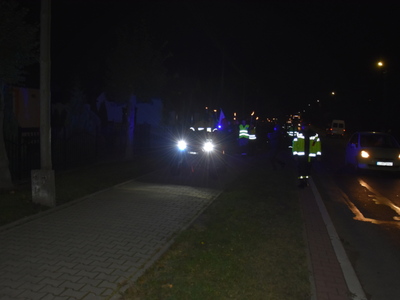 Zdjęcie z Marszu dla Niepodległej w gminie Gościeradów