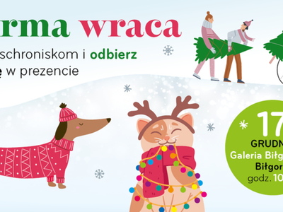 Zdjęcie dot. zbiórki karmy dla schroniska