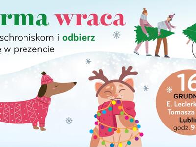 Zdjęcie dot. zbiórki karmy dla schroniska