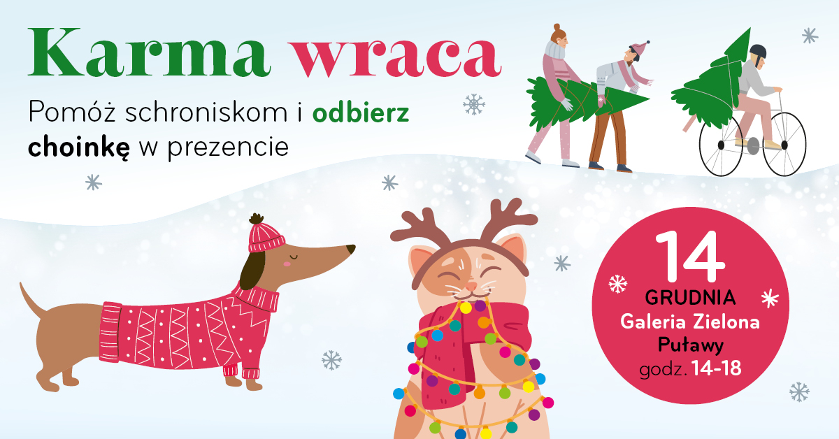 Zdjęcie dot. zbiórki karmy dla schroniska