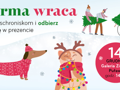 Zdjęcie dot. zbiórki karmy dla schroniska