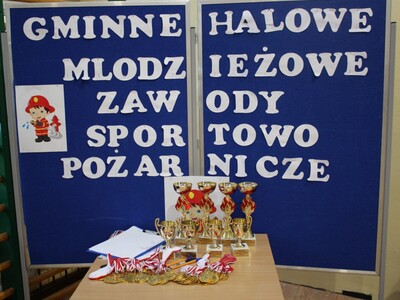 Zdjęcia z Zawodów MDP w Gościeradowie