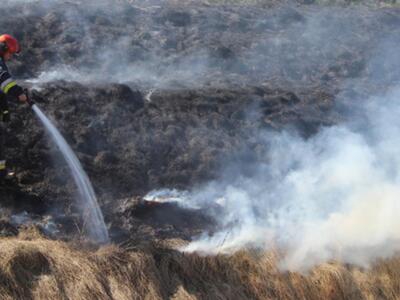 Zdjęcie dot. wypalania traw