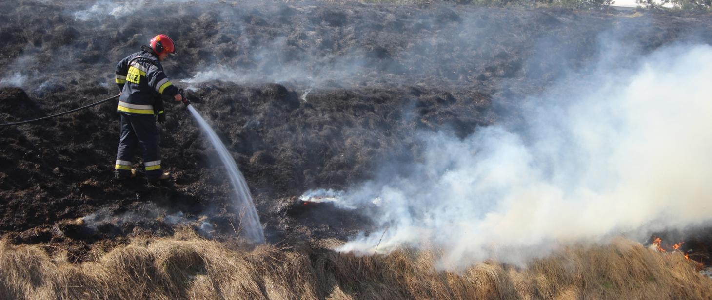 Zdjęcie dot. wypalania traw