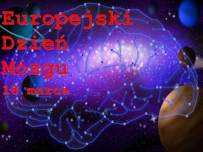 Zdjęcie z grafiką mózgu