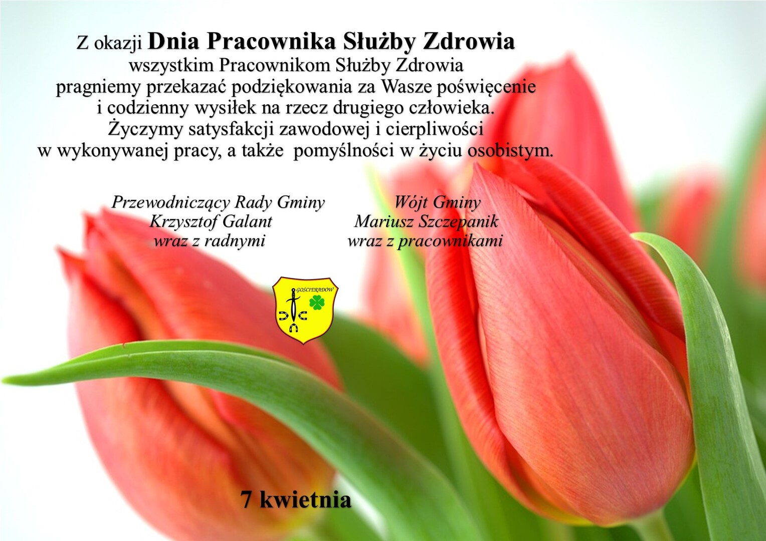 Zdjęcie tulipanów z życzeniami
