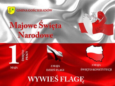 Zdjęcie z flagą Polski