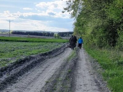 Zdjęcie z akcji sprzątania gminy Gościeradów