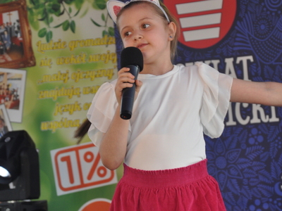 Zdjęcie z Nocy Świętojańskiej w Wólce Gościeradowskiej