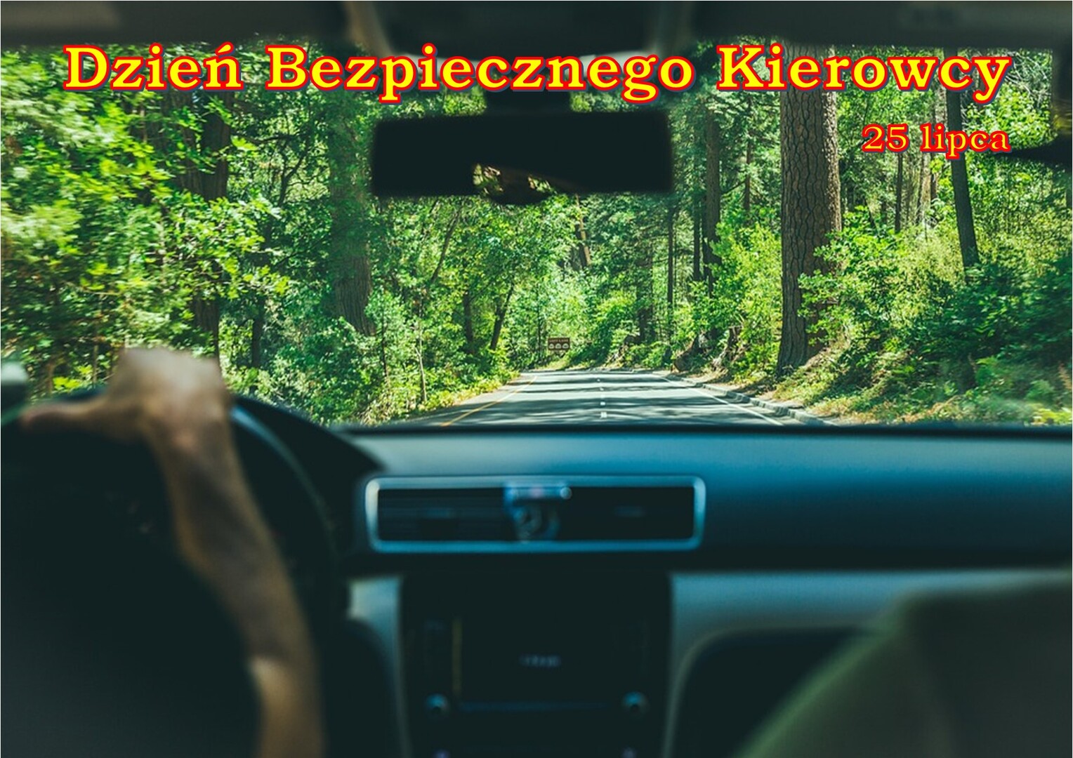Zdjęcie kierowcy w samochodzie na tle lasu
