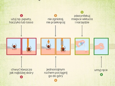 Zdjęcie z grafiką kleszcza