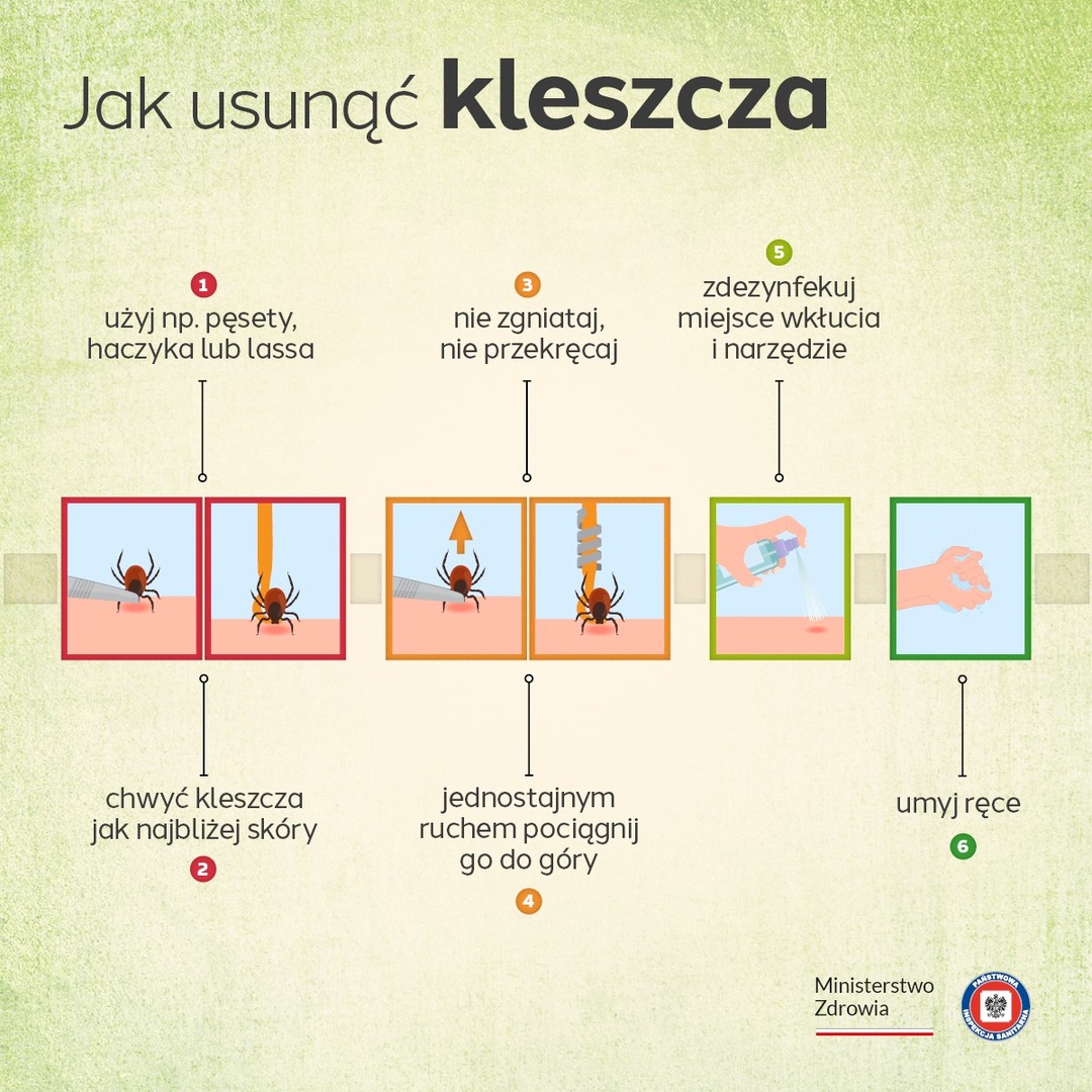 Zdjęcie z grafiką kleszcza