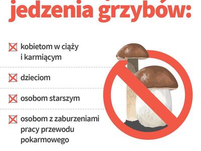 Zdjęcie grafiki grzybów
