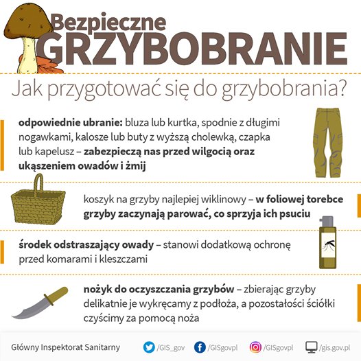 Zdjęcie grafiki grzybów