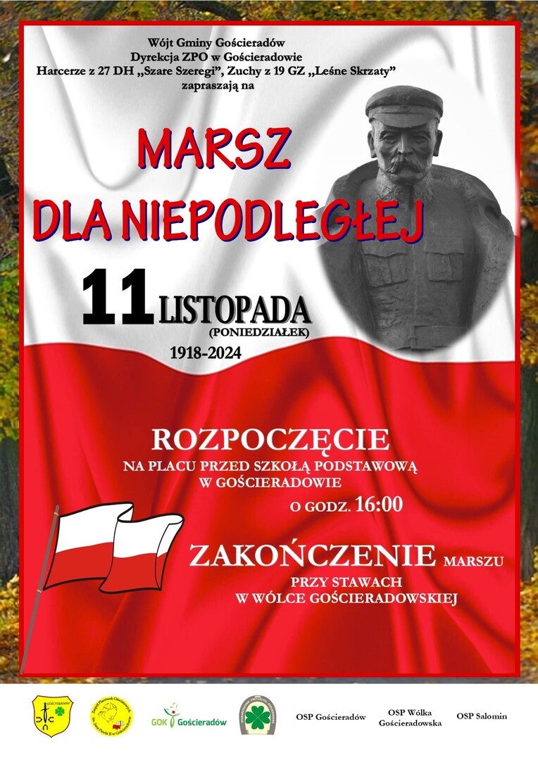 Zdjęcie plakatu z flagą Polski