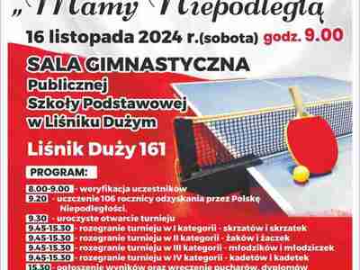 Zdjęcie plakatu z grafiką tenisa stołowego
