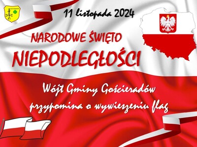 Zdjęcie flagi Polski