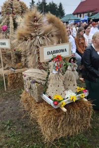 fot. Paweł Smoliński