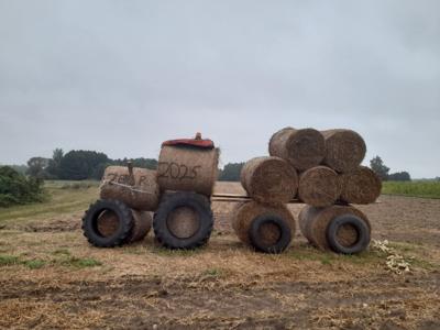 Kuskowo Glinki