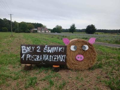 Stara Maryśka
