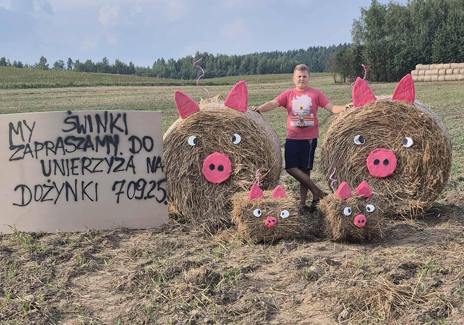 Budy Sułkowskie